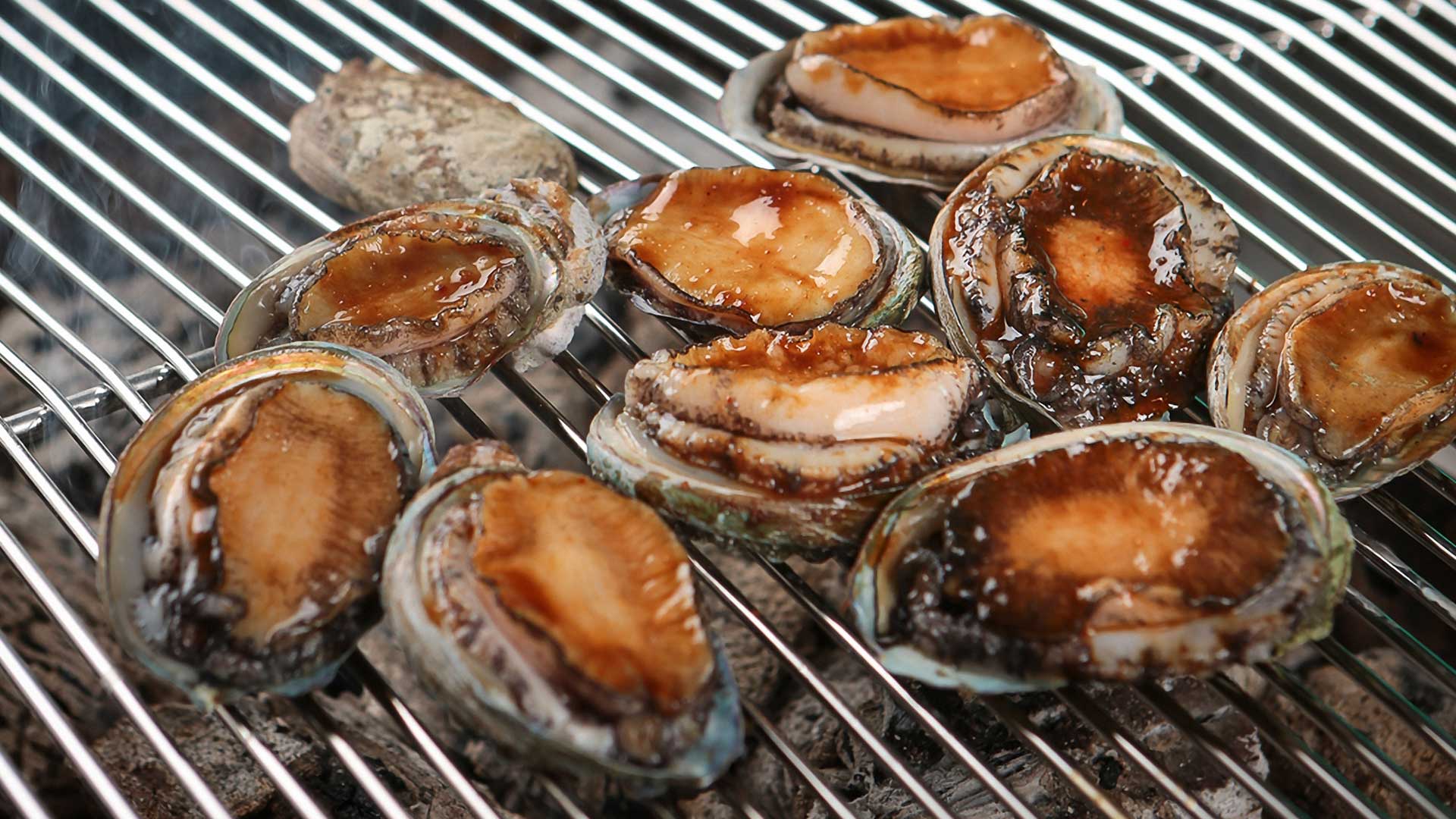 Grilled Sea Abalone - Camanchaca